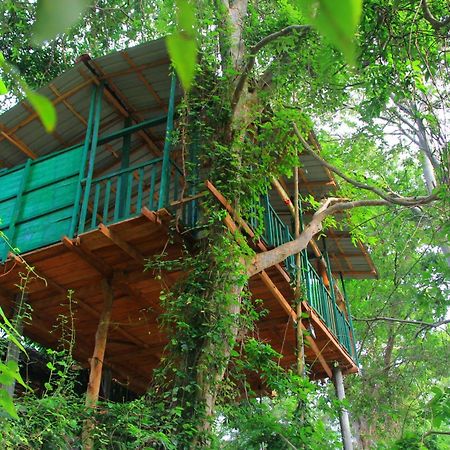 River Side Cabana Tissamaharama Kültér fotó