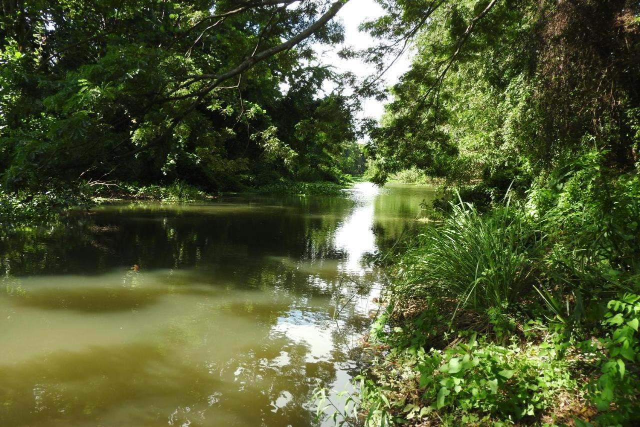 River Side Cabana Tissamaharama Kültér fotó